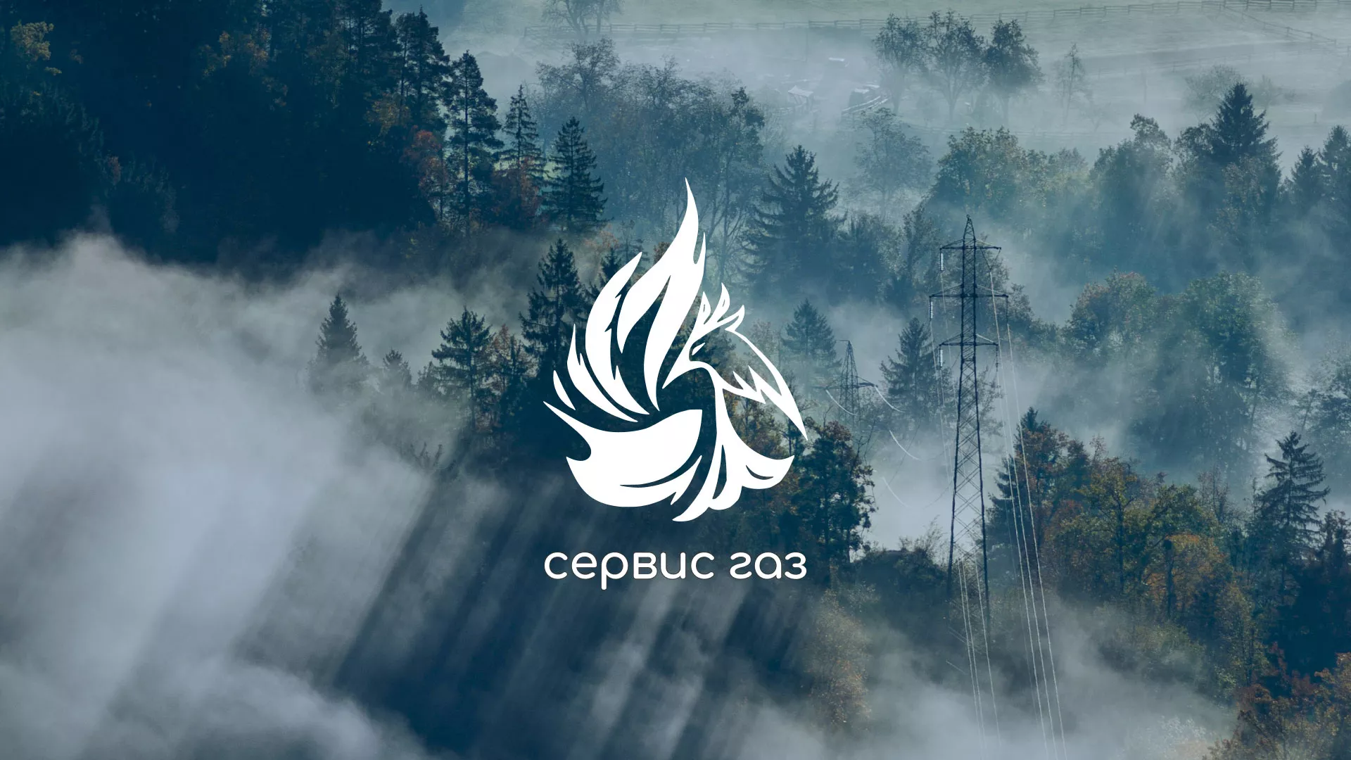 Создание сайта компании «Сервис газ» в Вытегре