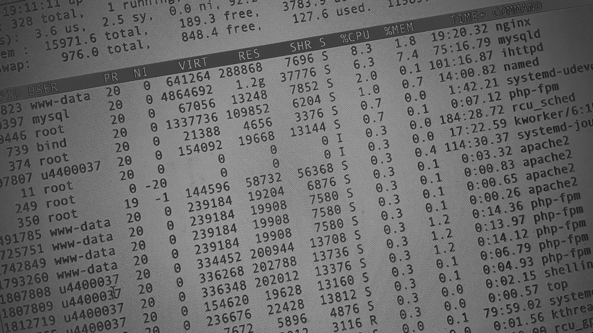 Настройка сервера в Вытегре