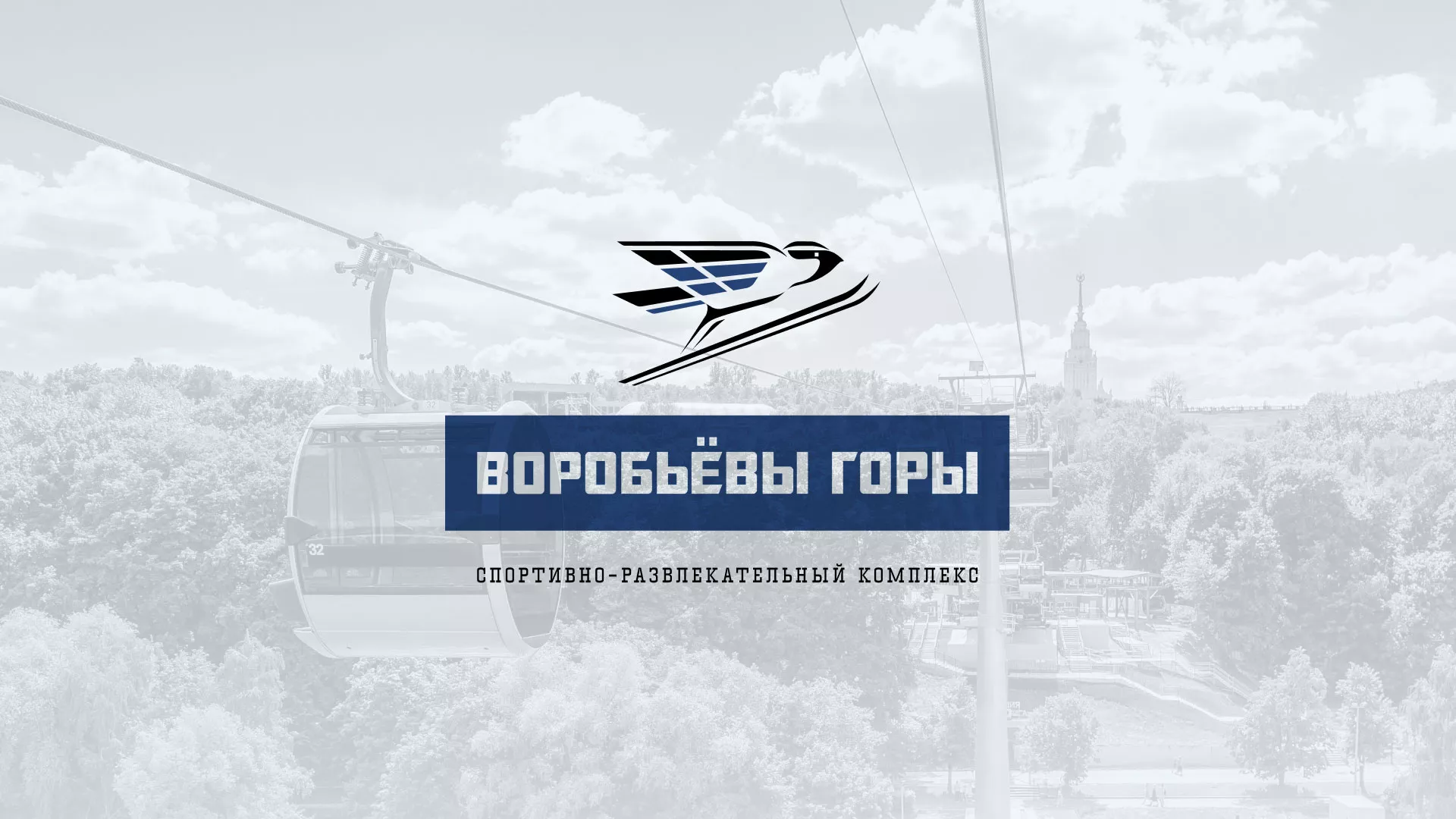 Разработка сайта в Вытегре для спортивно-развлекательного комплекса «Воробьёвы горы»