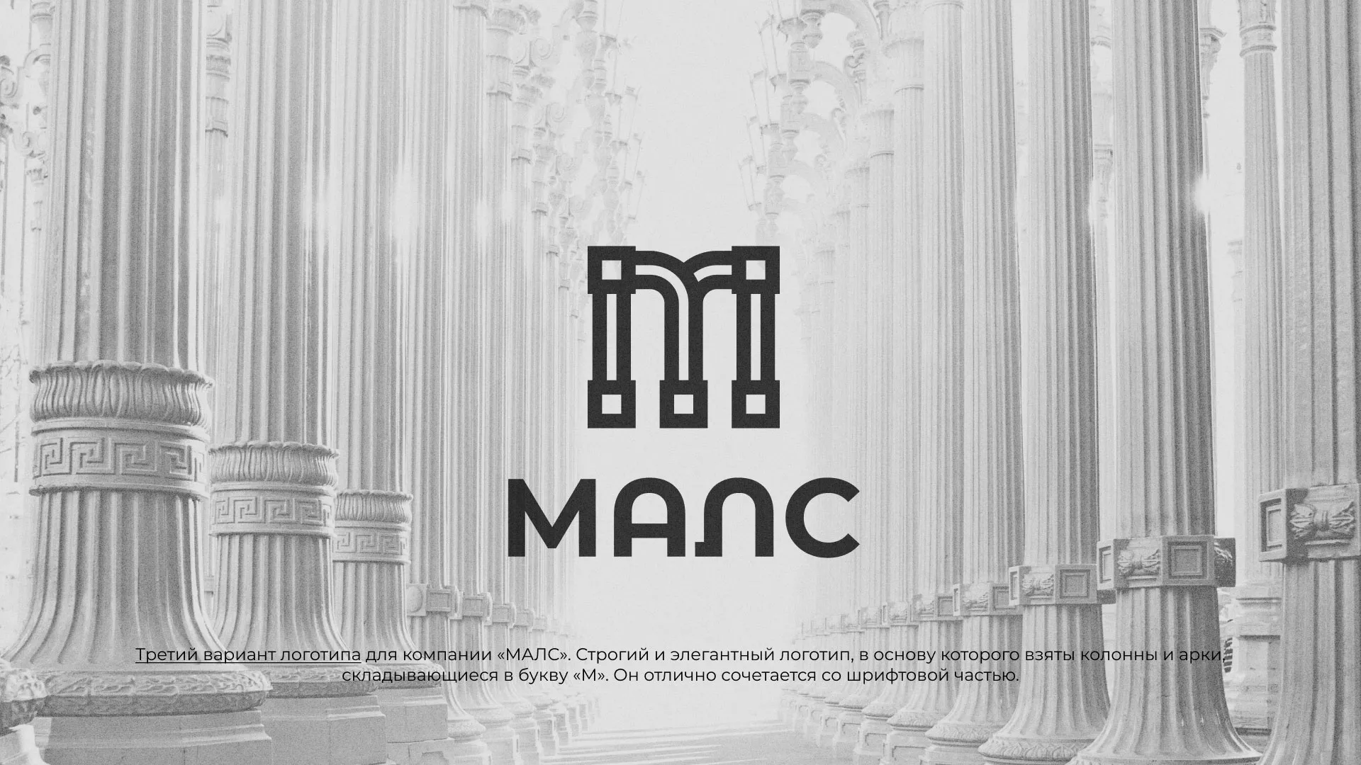 Разработка логотипа компании «МАЛС» в Вытегре