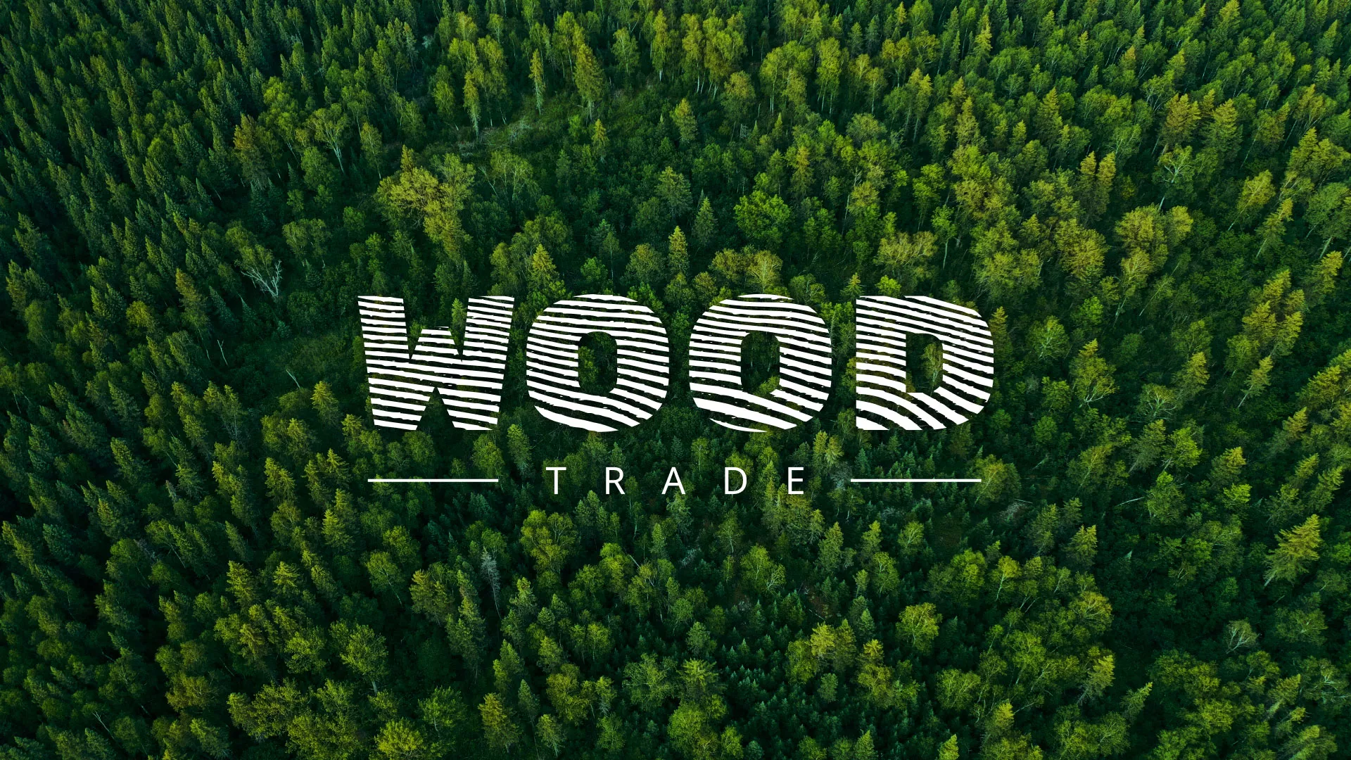 Разработка интернет-магазина компании «Wood Trade» в Вытегре