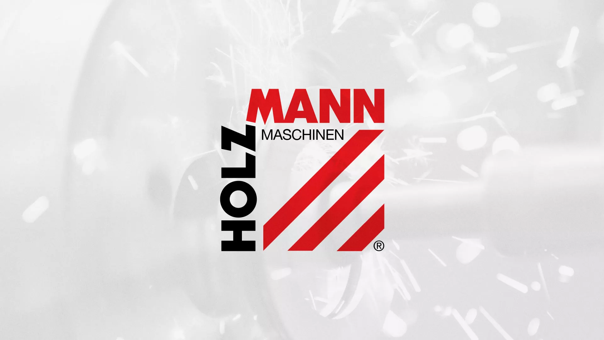 Создание сайта компании «HOLZMANN Maschinen GmbH» в Вытегре