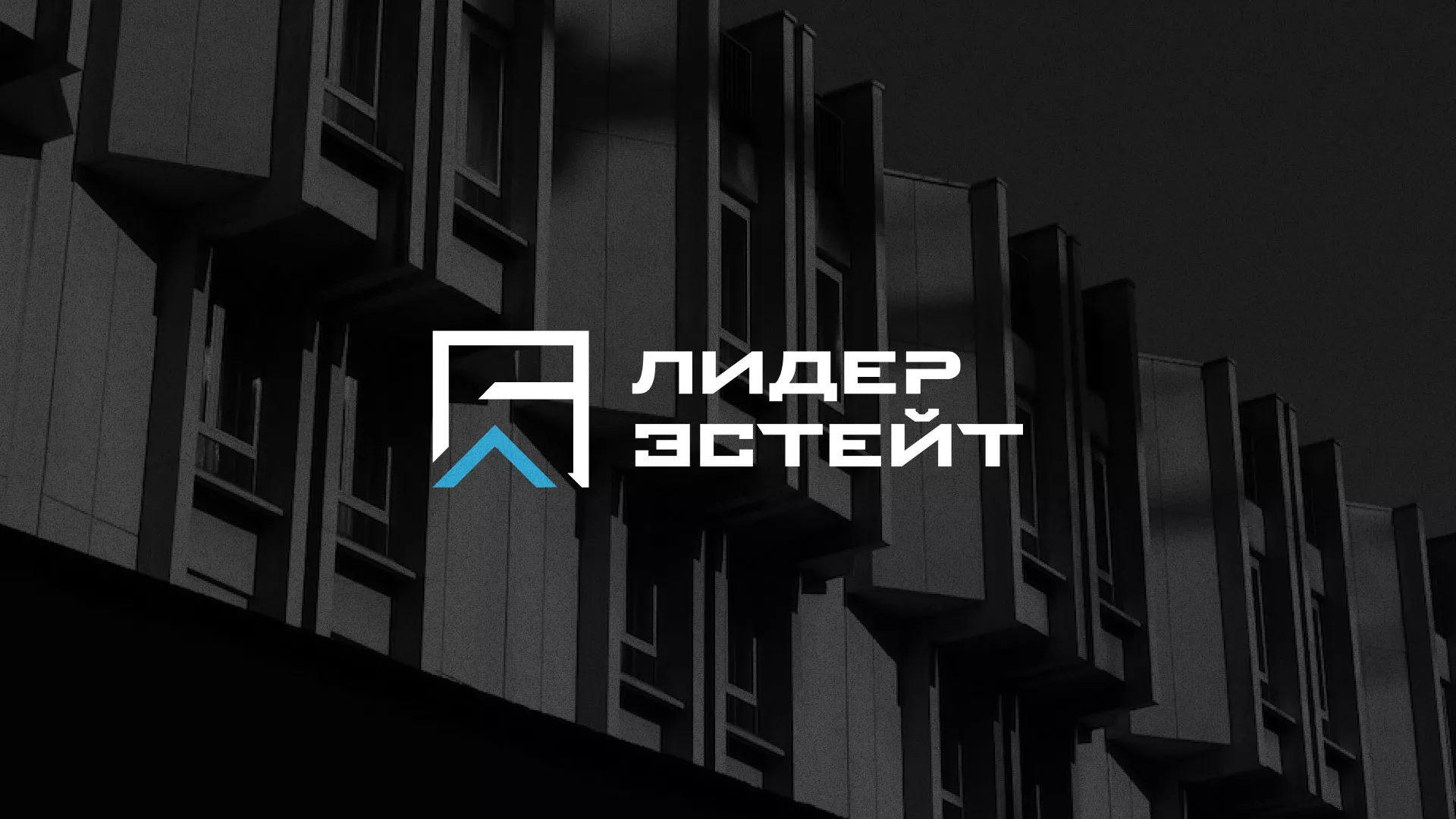 Разработка логотипа агентства недвижимости «Лидер Эстейт» в Вытегре